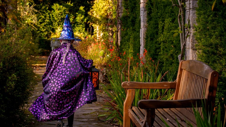 A little witch in the garden